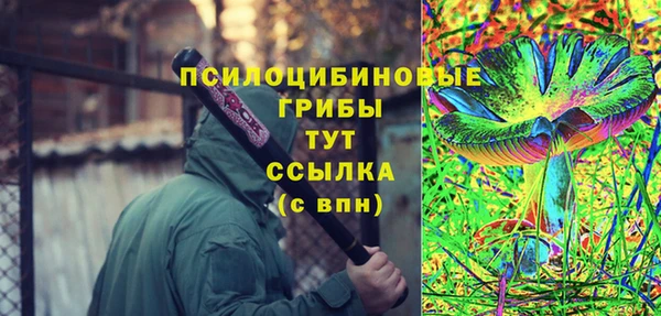 кристаллы Ельня