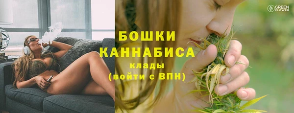 ПСИЛОЦИБИНОВЫЕ ГРИБЫ Новодвинск