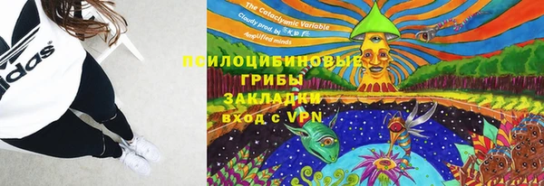 дурь Елабуга