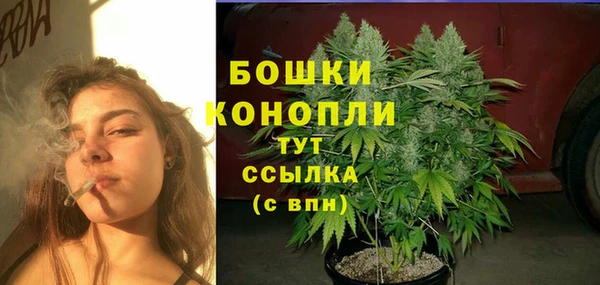 дурь Елабуга