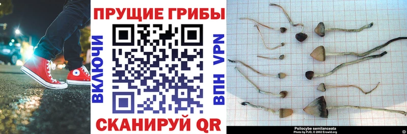 Галлюциногенные грибы мухоморы  Купить где  Инта 
